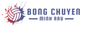 bong-chuyen-minh-rau-logo